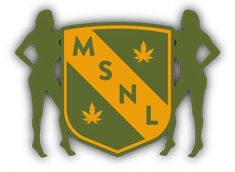 MSNL Logo