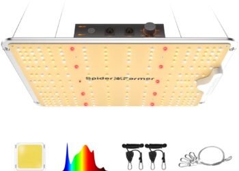 Best LED Cannabis Grow Lights 2025