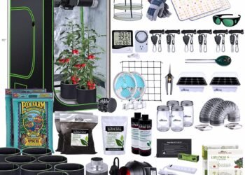 Best Cannabis Grow Boxes In 2025