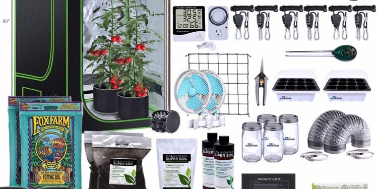 Best Cannabis Grow Boxes In 2025