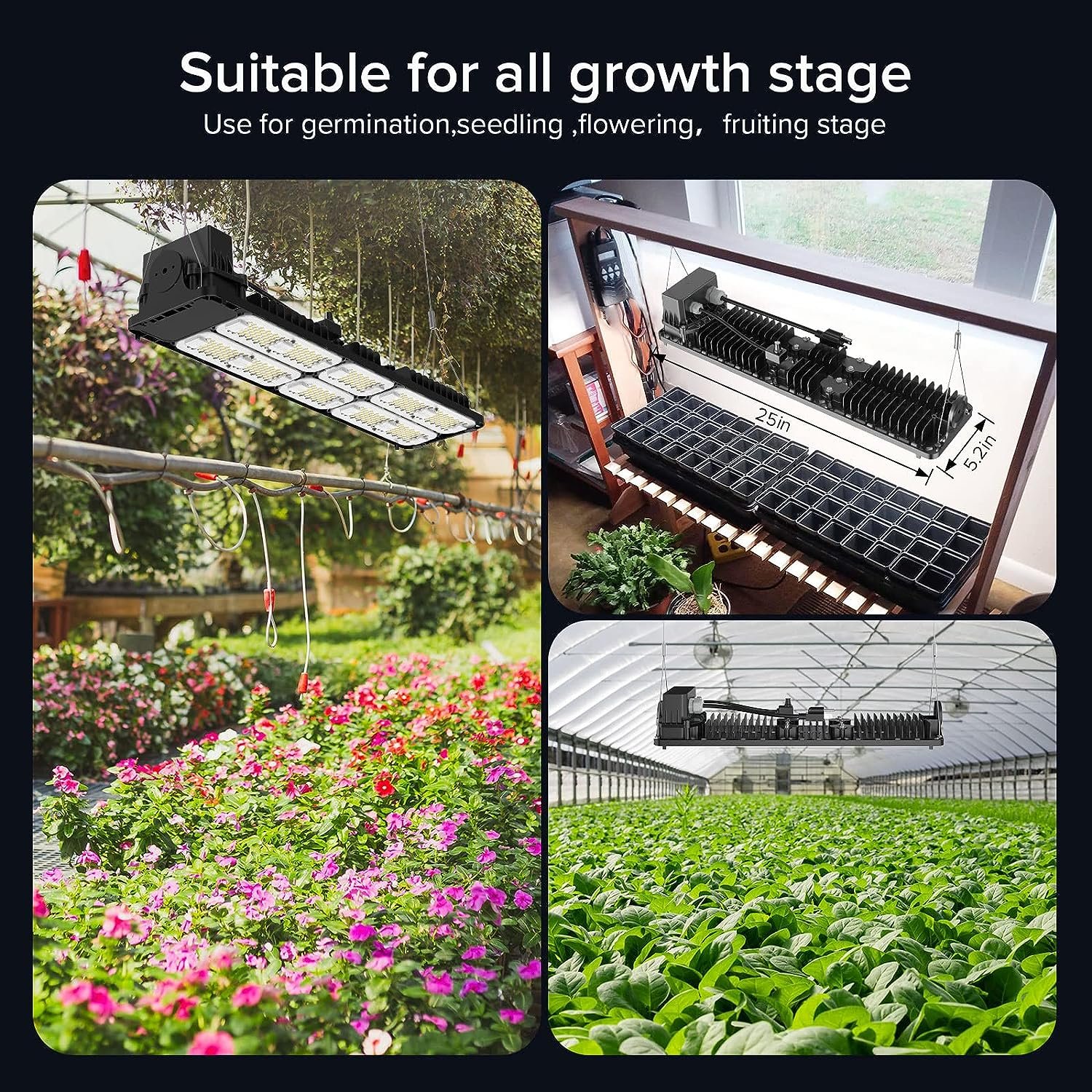 SANSI 2200W LED Grow Light with High PPFD Samsung LM301B Diodes Dimmable Lights Full Spectrum Plant Growing Lamps Greenhouse Hydroponics for Indoor Plants 2x4 3x3 Grow Tent Actual Power 200Watt