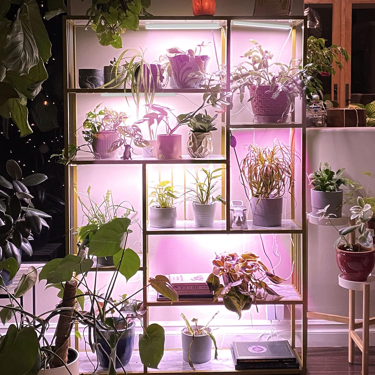 Barrina Grow Lights for Indoor Plants, Full Spectrum Sunlight, 1ft Plant Light for Indoor Growing, LED Grow Light Bulbs, T5 Grow Light Strip, Plug and Play, Pinkish White, 8-Pack