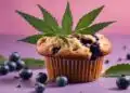 Blueberry Muffins Strain Review
