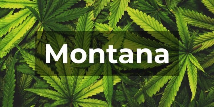 Montana