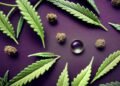 Myrcene