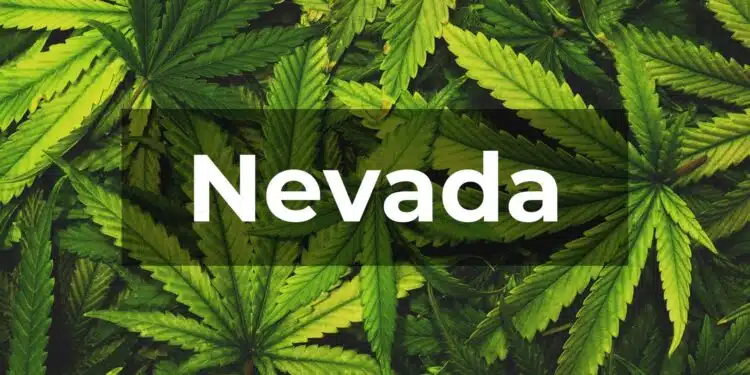 Nevada