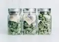 The 9 Best Containers for Curing Cannabis