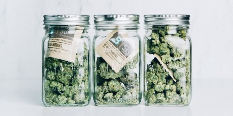 The 9 Best Containers for Curing Cannabis