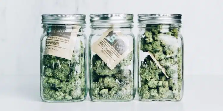 The 9 Best Containers for Curing Cannabis