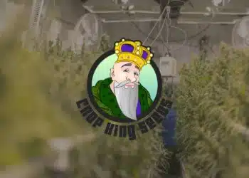 Crop King Seeds Review