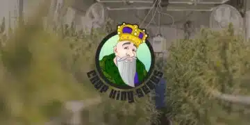 Crop King Seeds Review