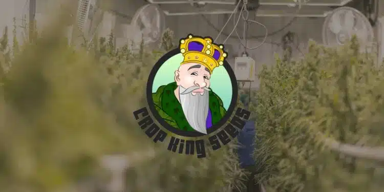 Crop King Seeds Review