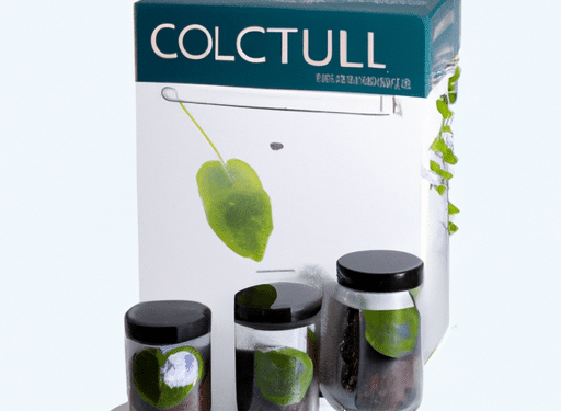 cvault humidity control airtight stash container review