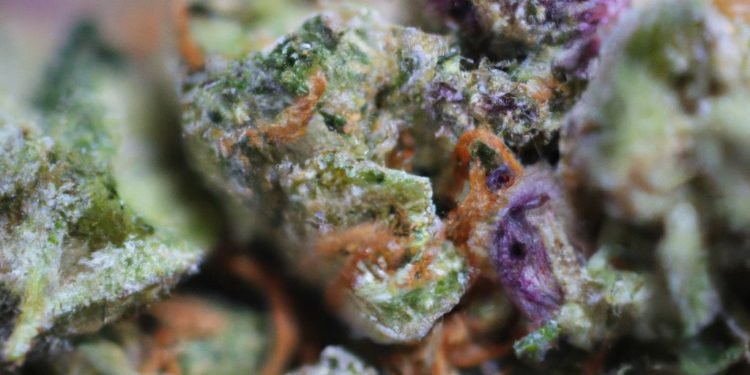 Fruity Pebbles Strain Review