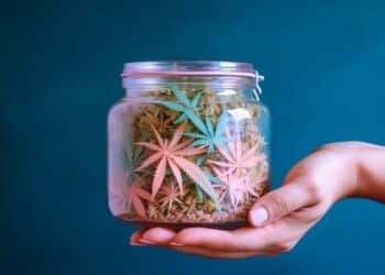 how to make cannabis sugar