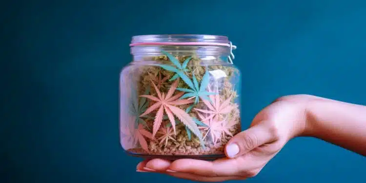 how to make cannabis sugar